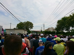 春日部大凧マラソン2017
