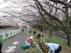 花の会