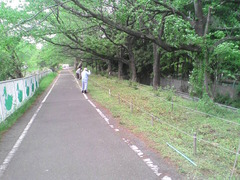 花の会総会