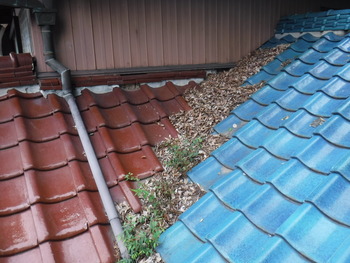 屋根の上の雨漏り補修