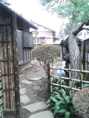 黒竹と青竹でつくる垣根