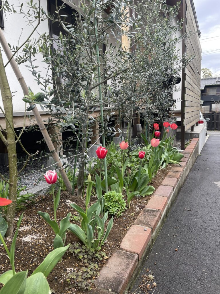 2026年の住宅関連補助金が出そろいました